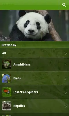 SanDiegoZoo android App screenshot 3